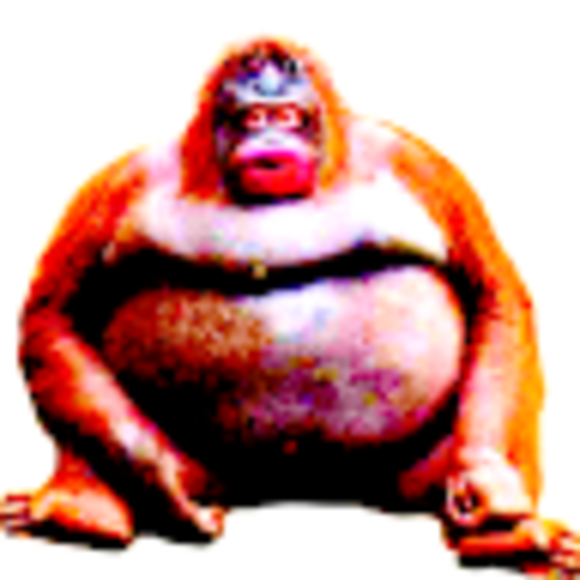 moshmoshman27